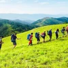 Turistas experimentan senderos naturales en Vietnam. (Foto: nhandan.vn)