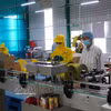 Cadena de producción de empresa Huong Bao Chau en la provincia sureña de Ca Mau. (Foto: VNA)