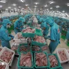 Elaboración de pescado Tra (pangasius) para la exportación. (VNA)