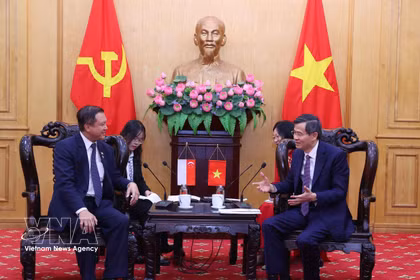 El miembro del Buró Político y presidente de la Academia Nacional de Política Ho Chi Minh (HCMA), Doan Minh Huan, y Lee Hong Chuang, miembro del Parlamento por el Partido de Acción Popular de Singapur, durante su reunión en Hanoi el 9 de junio. (Foto: VNA)