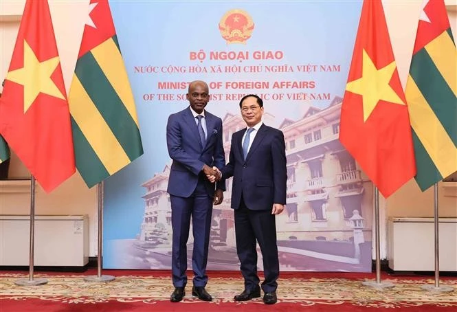 El viceprimer ministro y canciller de Vietnam, Bui Thanh Son, sostiene conversaciones en Hanoi con el ministro de Asuntos Exteriores, Integración Regional y Togoleses en el Exterior de Togo, Robert Dussey (Fuente: VNA)