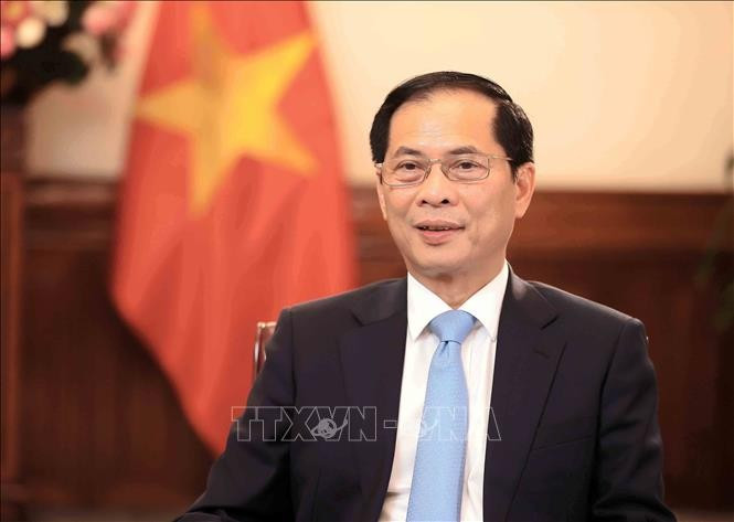 El viceprimer ministro y canciller Bui Thanh Son (Fuente: VNA) 