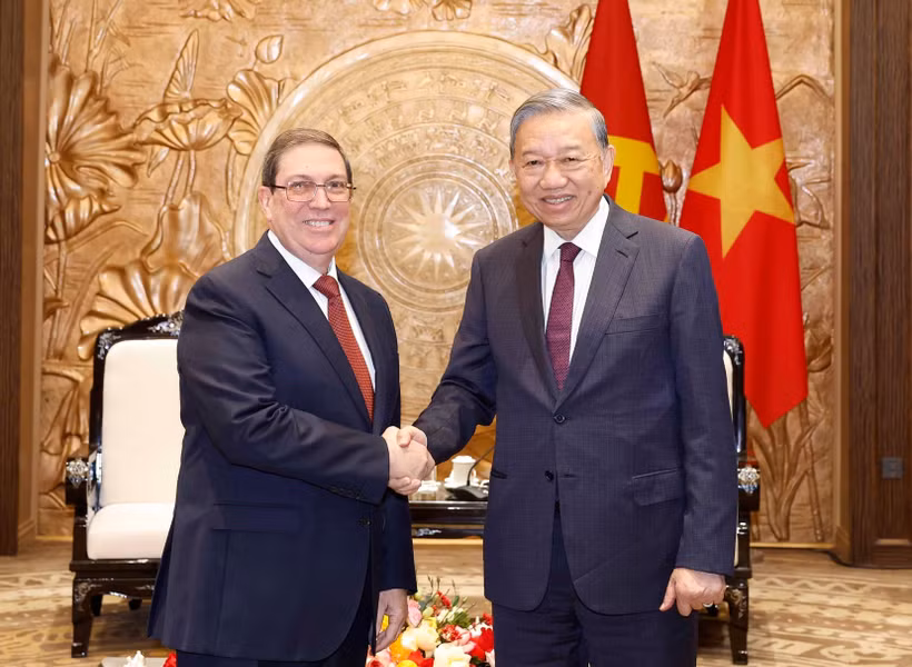 El secretario general del Partido Comunista de Vietnam (PCV), To Lam, recibe al enviado especial del Partido Comunista y del Estado cubano, miembro del Buró Político y canciller Bruno Rodríguez Parrilla (Fuente: VNA)