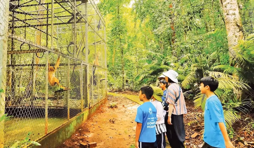 Jóvenes voluntarios acompañan y cuidan a los animales rescatados en el Parque Nacional Bu Gia Map. Foto: nhandan.vn