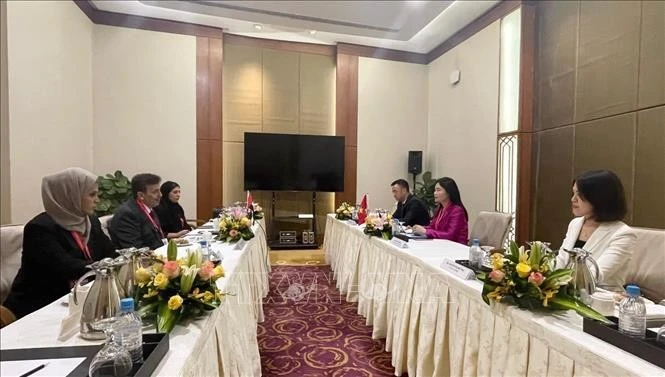 La delegación vietnamita sostiene una reunión bilateral con representantes de los Emiratos Árabes Unidos (Fuente: VNA)