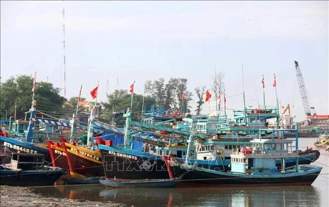 Las autoridades de la provincia de Ben Tre, en el Delta del Mekong, han instado a las agencias y localidades a implementar con urgencia medidas estrictas contra la pesca ilegal, no declarada y no reglamentada (Fuente: VNA)