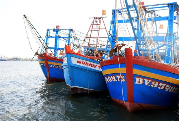 Barcos pesqueros en Dong Thap (Fuente: VNA)