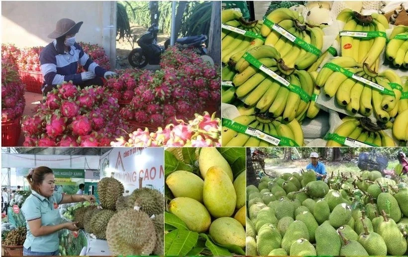 Las exportaciones agrícolas de Vietnam alcanzaron 9,38 mil millones de dólares en los primeros dos meses del año (Fuente: VNA)