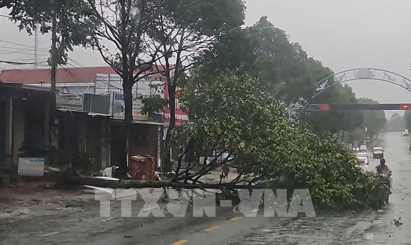 Debido a la tormenta, muchos árboles resultaron quebrados en el barrio de Buon Ma Thuot, provincia de Dak Lak. Foto: TTXVN