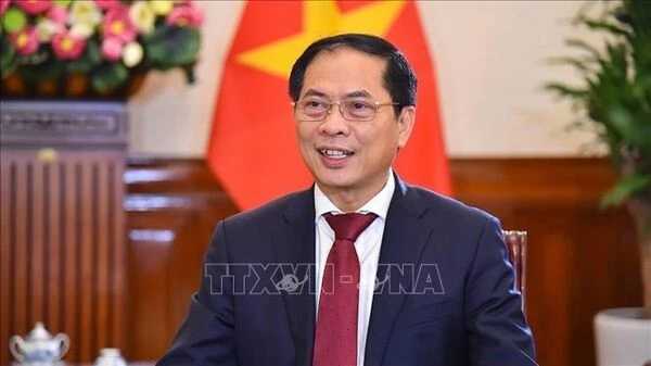 El viceprimer ministro y canciller Bui Thanh Son (Fuente: VNA)
