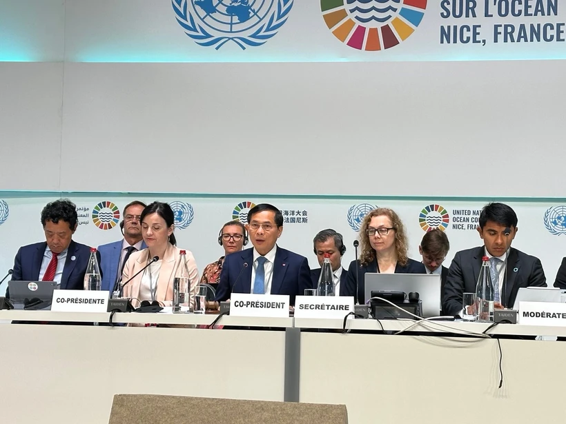 El viceprimer ministro y canciller de Vietnam, Bui Thanh Son, junto con la ministra de Protección Ambiental y Transición Verde de Croacia, Marija Vučković, copresiden la sesión (Fuente: VNA)