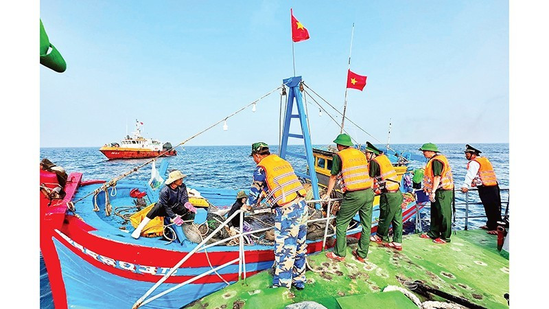 La Fuerza de Guardia Fronteriza de Quang Ngai patrulla regularmente el mar y gestiona estrictamente los casos de buques pesqueros que violan las regulaciones de pesca IUU. (Foto: nhandan.vn)