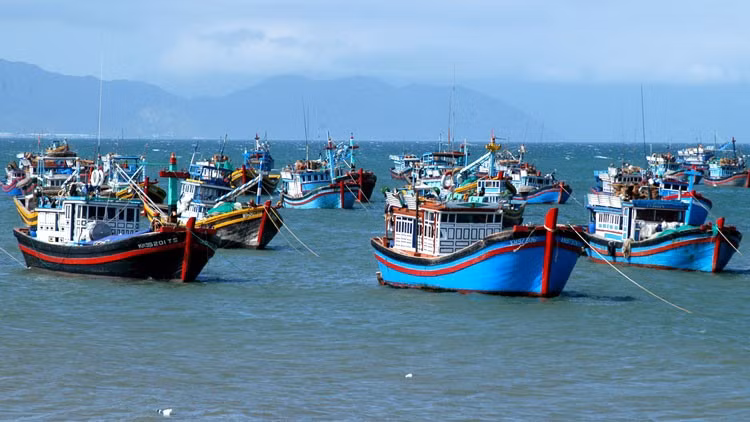 Ciudad Ho Chi Minh implementa el mes de acción intensiva contra la pesca ilegal (Fuente: VNA)