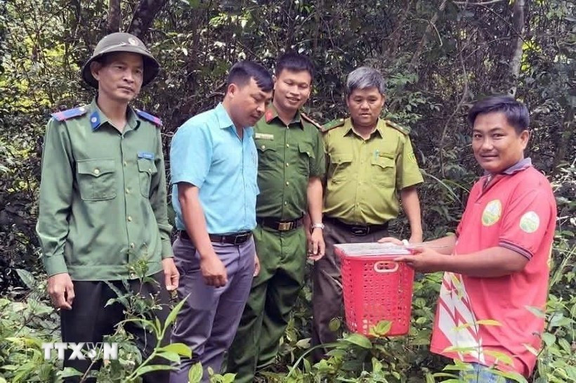 La Junta de Gestión del Bosque de Protección de Nam Cat Tien, devuelve a dos animales silvestres raros a su hábitat natural (Fuente: VNA)