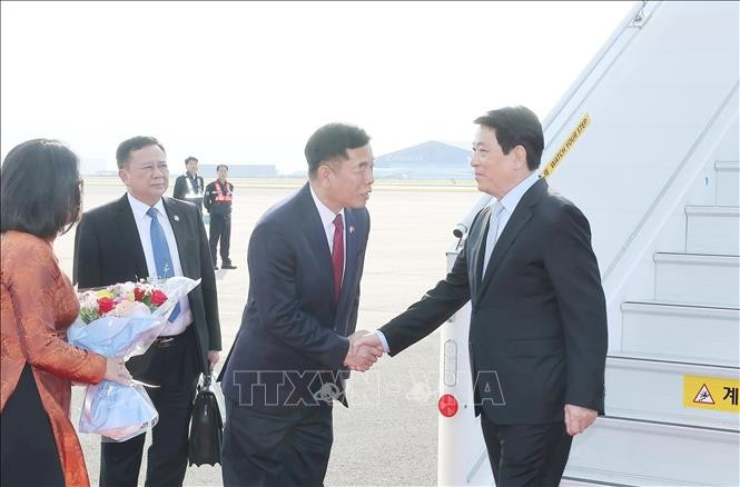 El embajador de Vietnam en Corea del Sur, Vu Ho, recibió al presidente Luong Cuong en el aeropuerto militar de Gimhae, en la ciudad surcoreana de Busan. Foto: VNA