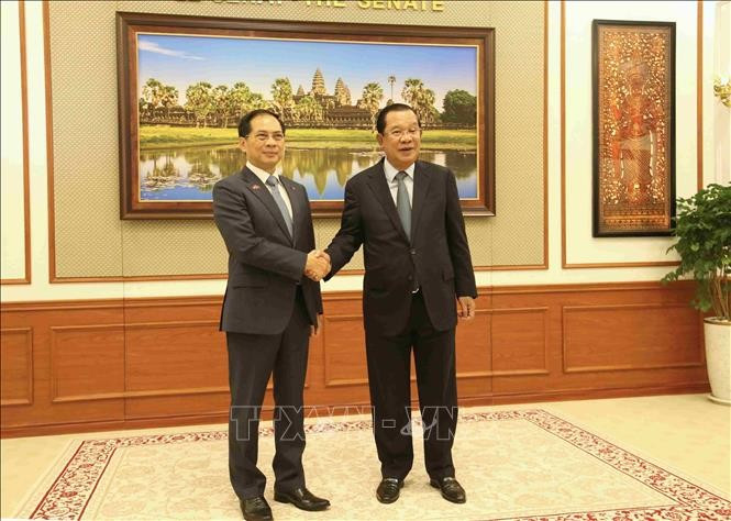 El presidente del Senado camboyano, Hun Sen (derecha), recibe al viceprimer ministro Bui Thanh Son. Foto: VNA