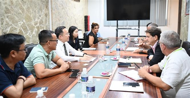 En el encuentro entre la delegación de la Televisión Vietnamita y el Instituto Cubano de Información y Comunicación Social (Fuente: VNA)