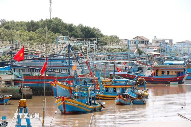 Foto ilustrada (Fuente: VNA)