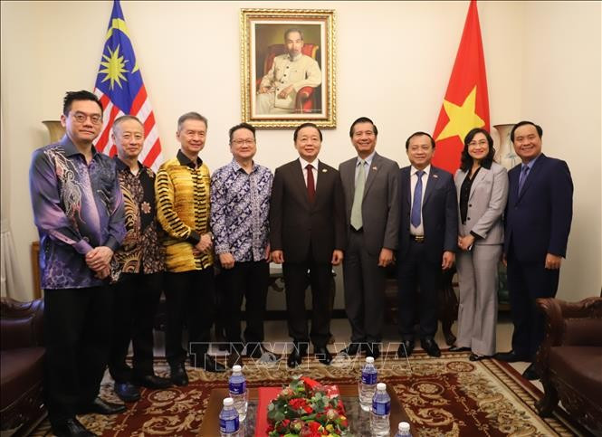 El viceprimer ministro Tran Hong Ha (centro) junto con representantes de asociaciones y empresas malasias (Fuente: VNA)