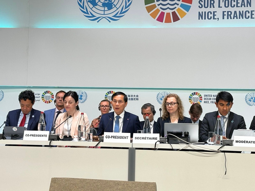 El viceprimer ministro y canciller de Vietnam, Bui Thanh Son, junto con la ministra de Protección Ambiental y Transición Verde de Croacia, Marija Vučković, copresiden la sesión (Fuente: VNA)