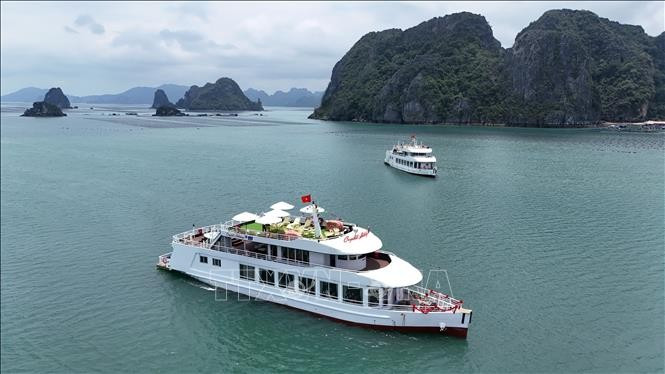 Barcos turísticos en la bahía de Ha Long (Fuente: VNA)