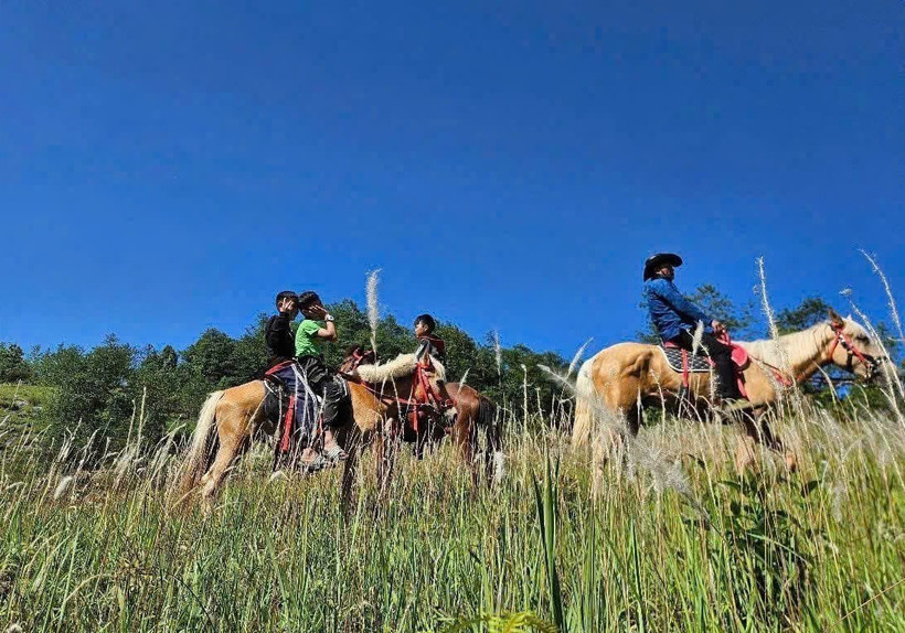 El producto turístico “Paseo a caballo para descubrir el Extremo Norte de Tuyen Quang” se presenta en la aldea Then Pa, comuna de Lung Cu (Fuente: VNA)