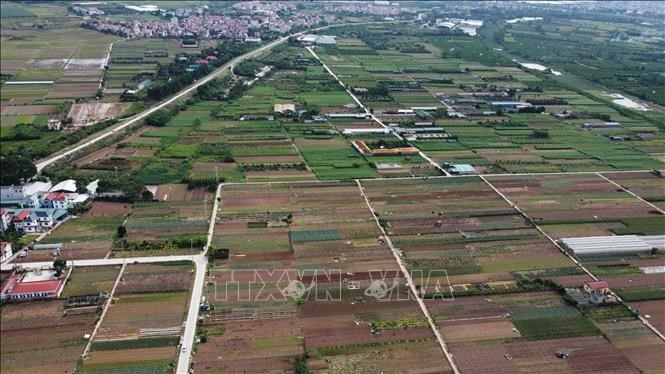 Foto ilustrada (Fuente: VNA) 