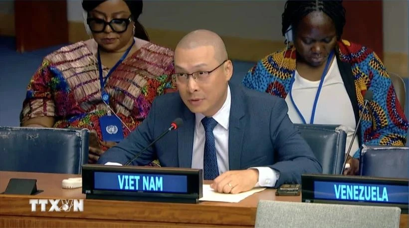 Nguyen Hoang Nguyen, ministro consejero y subjefe de la delegación vietnamita ante la Organización de las Naciones Unidas (Fuente: VNA)
