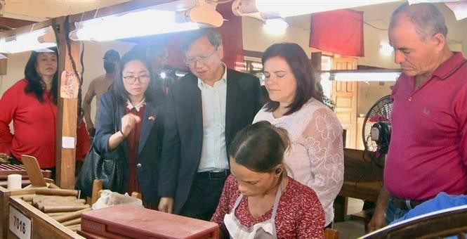 El embajador Le Quang Long aprende sobre el meticuloso proceso de enrollar tabaco a mano (Fuente: VNA)