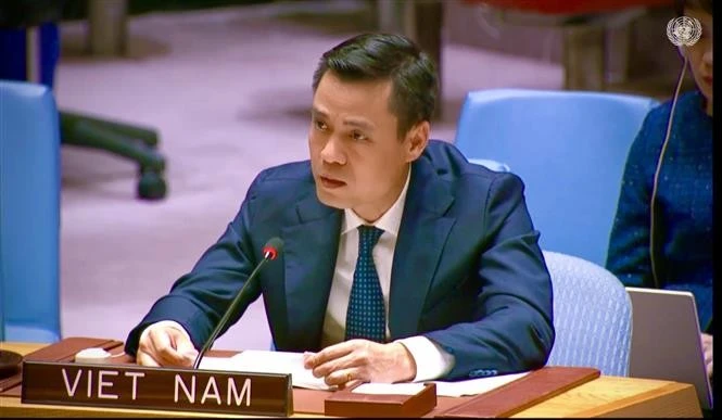 El embajador Dang Hoang Giang, jefe de la misión permanente de Vietnam ante la Organización de las Naciones Unidas (Fuente: VNA)