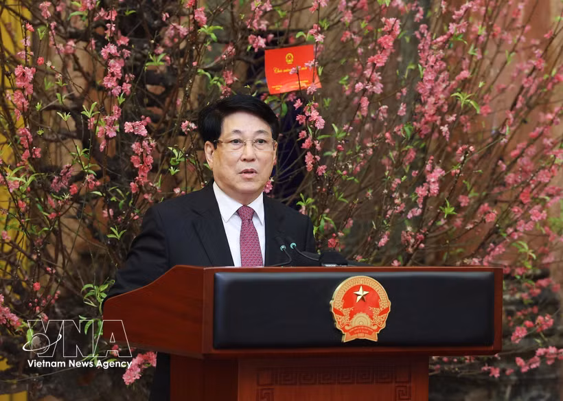 El presidente de Vietnam, Luong Cuong, habla en la cita (Fuente: VNA)