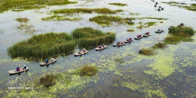 La zona ecoturística de la laguna Van Long, en la provincia de Ninh Binh, es famosa por su belleza prístina y tranquila, y por su diverso ecosistema. (Foto: VNA)
