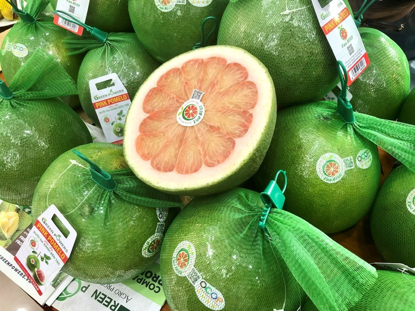 El pomelo vietnamita ha entrado oficialmente en el mercado australiano. Foto: El pomelo vietnamita de piel verde ha entrado oficialmente en el mercado australiano. Foto: VNA