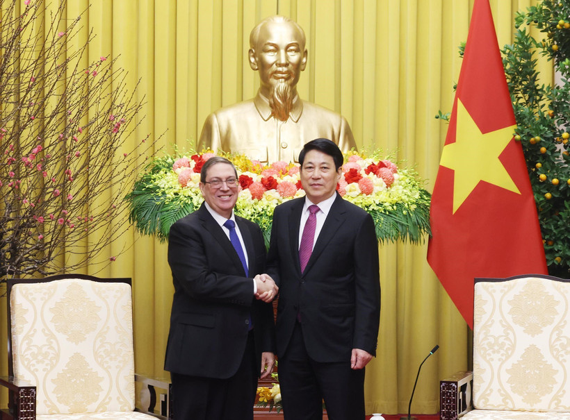 El presidente de Vietnam, Luong Cuong, ofrece una recepción al enviado especial del Partido Comunista y del Estado cubano, miembro del Buró Político y canciller Bruno Rodríguez Parrilla (Fuente: VNA)