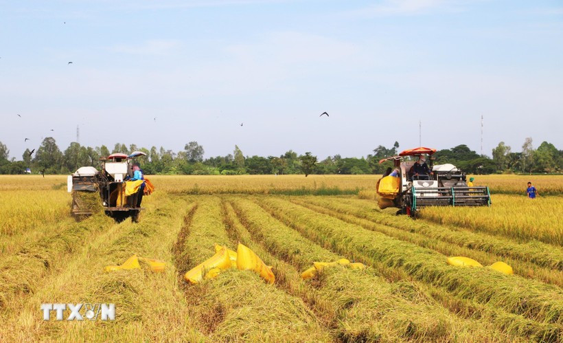 Foto ilustrativa (Fuente: VNA)