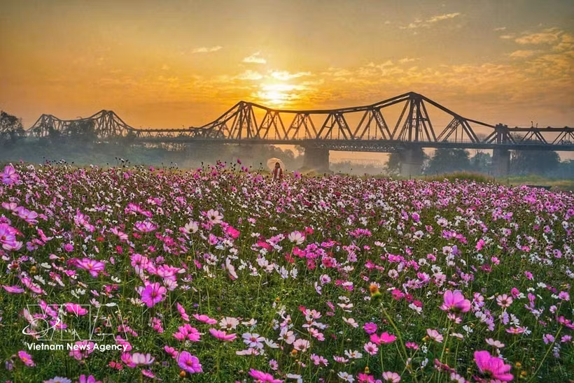 La belleza del Puente Long Bien, un símbolo cultural e histórico de Hanoi. (Foto: VNA)