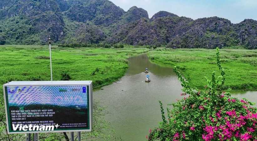 Conservación de la naturaleza y preservación de la biodiversidad. (Foto: Vietnam+)
