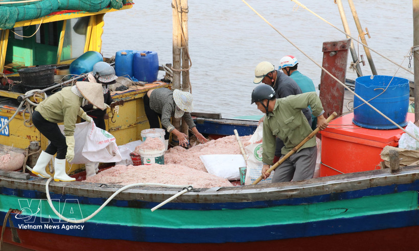 Un barco pesquero faenando cerca de la costa en la comuna de Giao Ninh, provincia de Ninh Binh. Foto: VNA