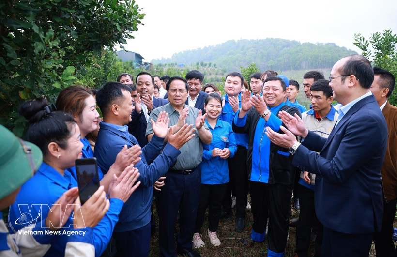 El primer ministro de Vietnam, Pham Minh Chinh, visita un modelo de cultivo de macadamia en la aldea Huoi Tao B (Fuente: VNA)