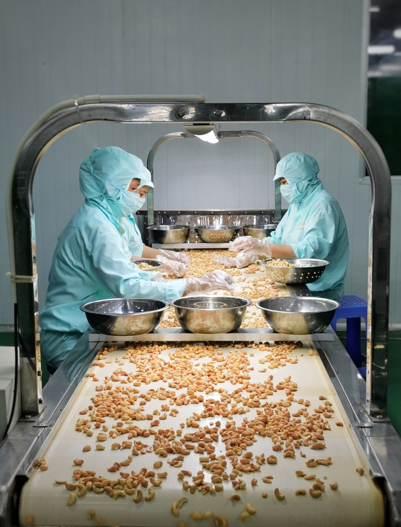 Entre las industrias que más se benefician del EVFTA, destaca el sector agrícola de Vietnam. (Foto ilustrativa: VNA)
