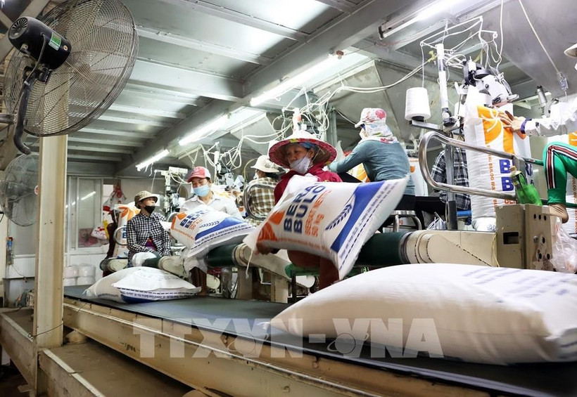 Vietnam ya ha enviado 6,3 millones de toneladas en los primeros ocho meses de 2025 (Fuente: VNA)
