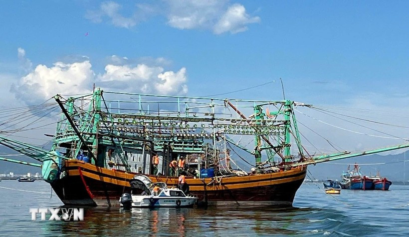 Un barco pesquero en la ciudad central de Da Nang (Fuente: VNA)