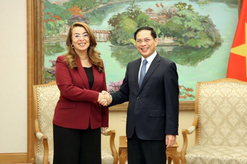 El viceprimer ministro de Vietnam, Bui Thanh Son, recibe a Ghada Waly, subsecretaria general de las Naciones Unidas (Fuente: VNA)