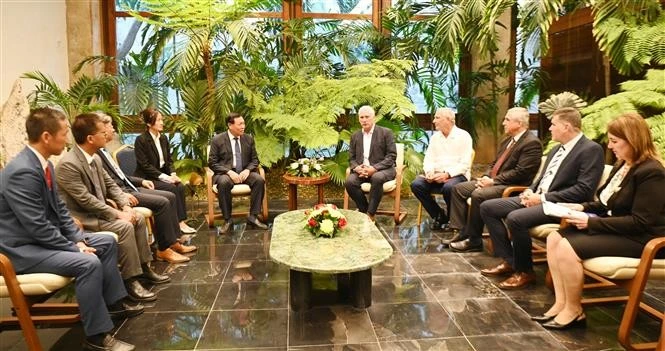 En una audiencia entre el Presidente de Cuba, Miguel Díaz-Canel Bermúdez y el viceministro Do Xuan Tuyen (Fuente: VNA)
