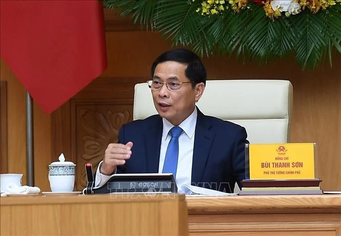 El viceprimer ministro y canciller de Vietnam, Bui Thanh Son (Fuente: VNA)