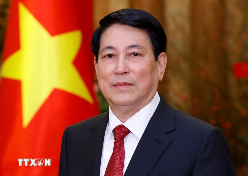 El presidente de Vietnam, Luong Cuong (Fuente: VNA)