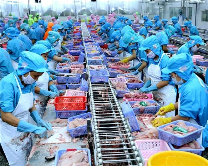 Procesamiento de pescado para exportación en la fábrica de Southern Seafood Industry en ciudad de Can Tho (Foto:VNA)