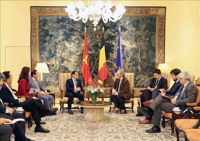 El viceprimer ministro Bui Thanh Son trabaja con el presidente de la Cámara de Representantes belga, Peter De Roover. Foto: VNA