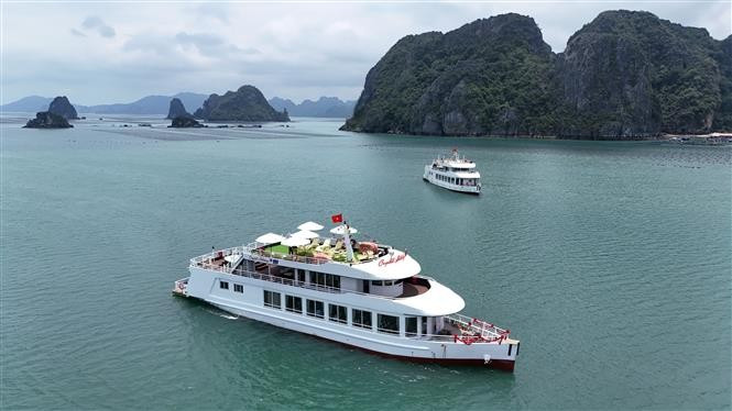 Aumentan experiencia de viaje de alta calidad en bahía de Bai Tu Long