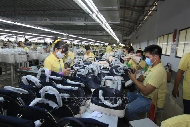 Los productos vietnamitas con ventajas competitivas en el mercado suizo incluyen calzados y bolsos (Fuente: VNA)